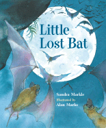 Little Lost Bat