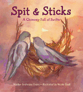 Spit & Sticks: A Chimney Full of Swifts