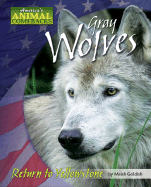 Gray Wolves: Return to Yellowstone
