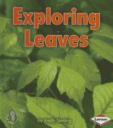 Exploring Leaves