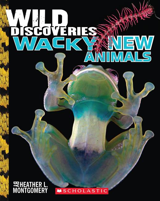 Wild Discoveries: Wacky New Animals