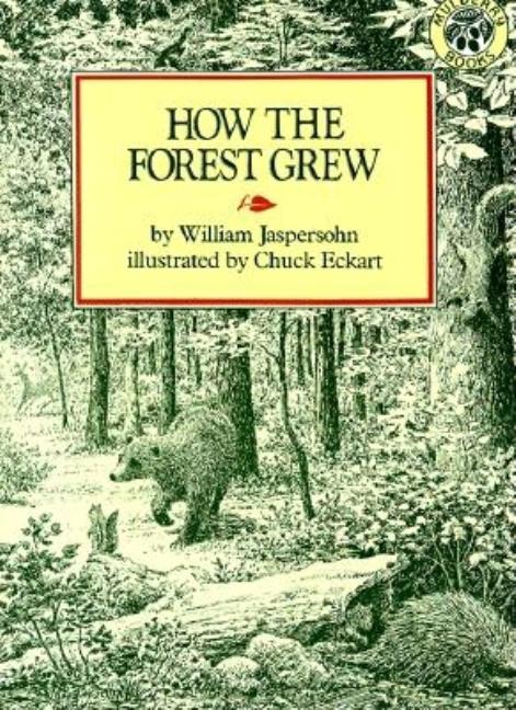 How the Forest Grew