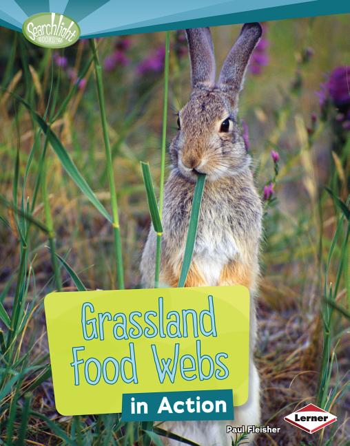 Grassland Food Webs in Action
