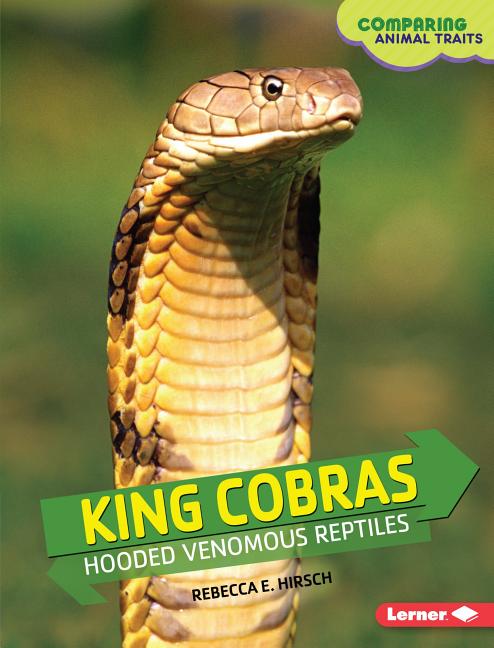 King Cobras: Hooded Venomous Reptiles