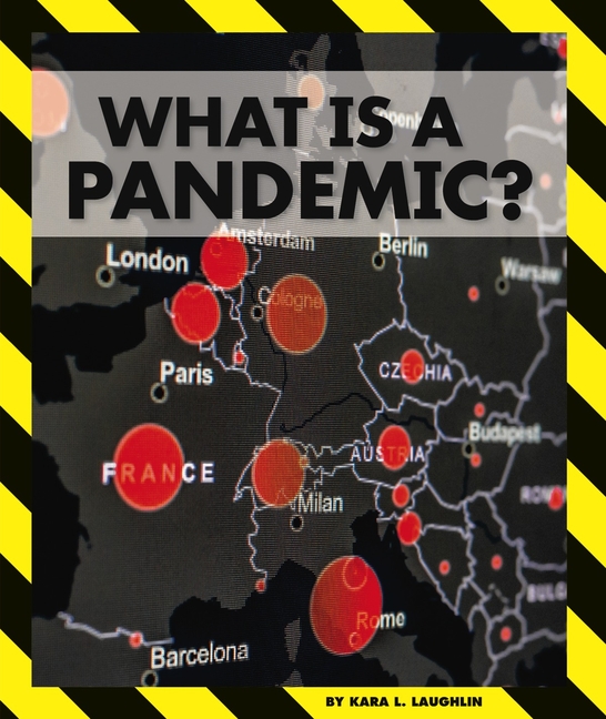 What Is a Pandemic?