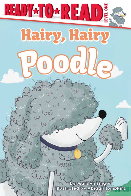 Hairy, Hairy Poodle