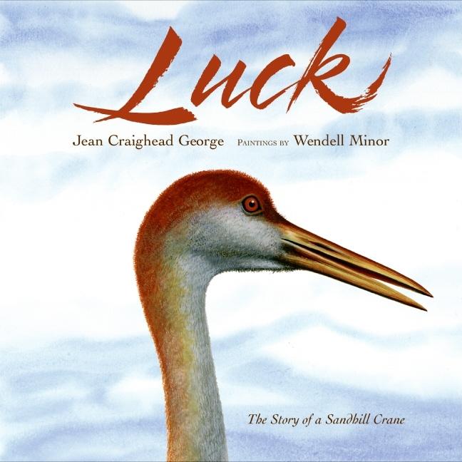 Luck: The Story of a Sandhill Crane
