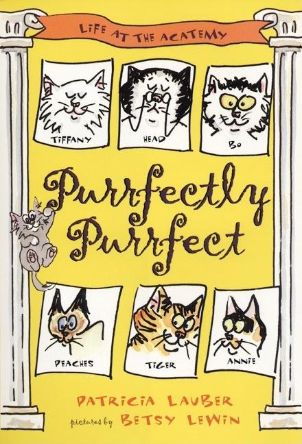 Purrfectly Purrfect: Life at the Acatemy