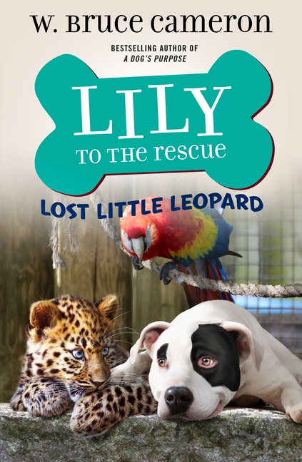 Lost Little Leopard
