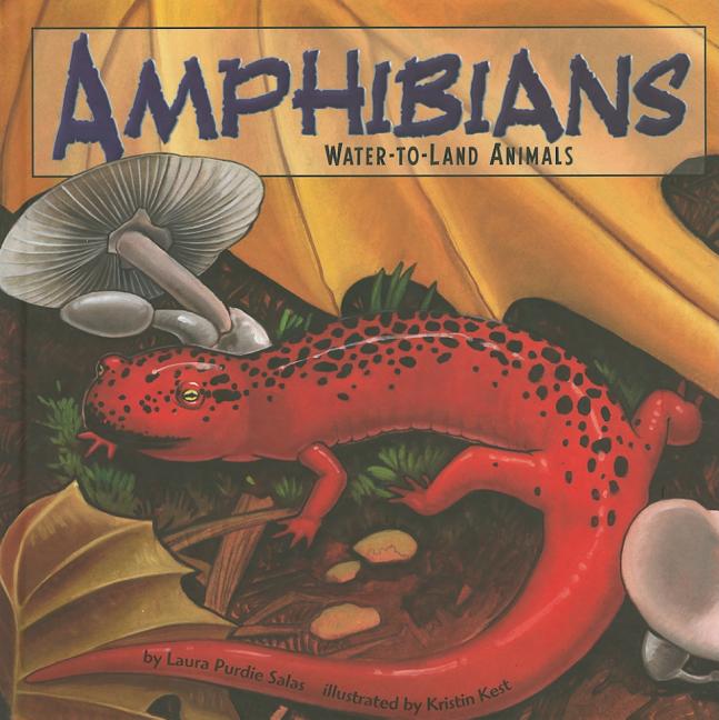 Amphibians: Water-To-Land Animals