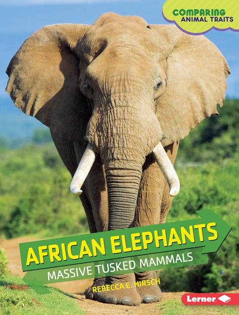 African Elephants: Massive Tusked Mammals