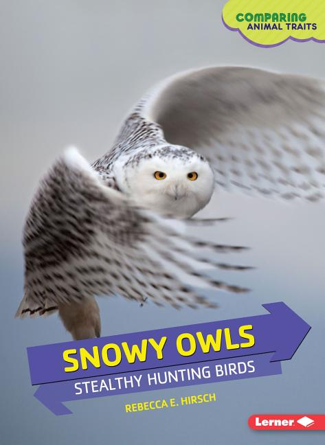 Snowy Owls: Stealthy Hunting Birds