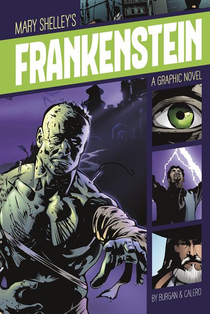 Frankenstein: A Graphic Novel