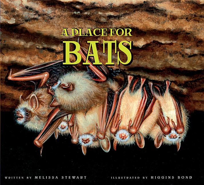 Place for Bats, A