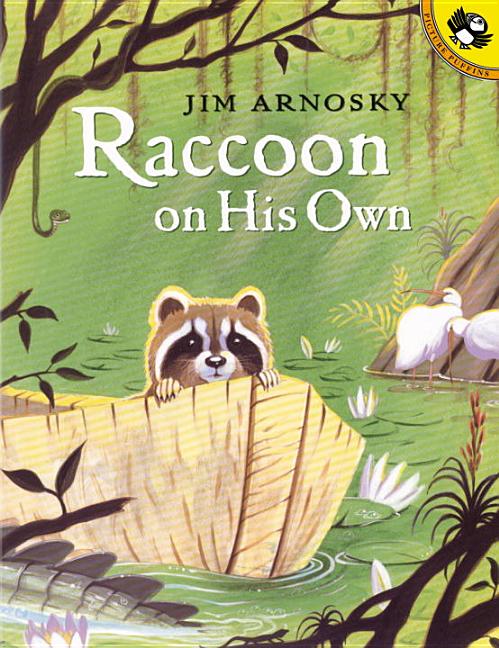 Raccoon on His Own