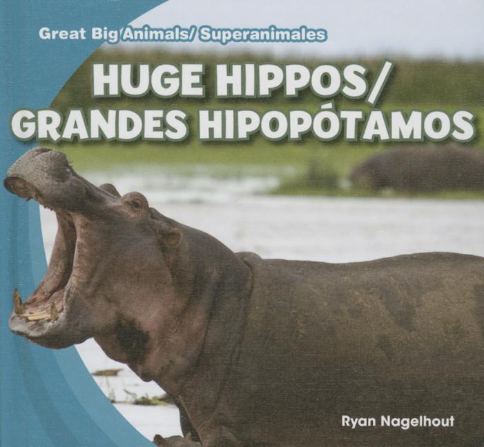 Huge Hippos / Grandes Hipopótamos