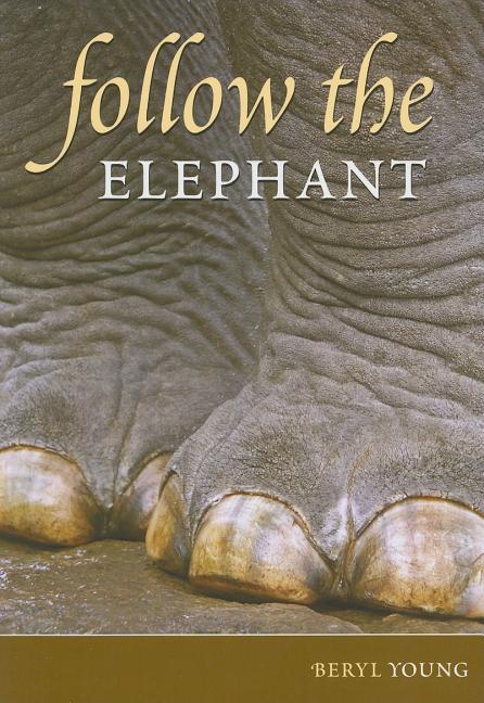 Follow the Elephant