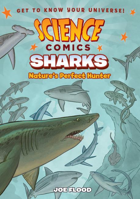 Sharks: Nature's Perfect Hunter