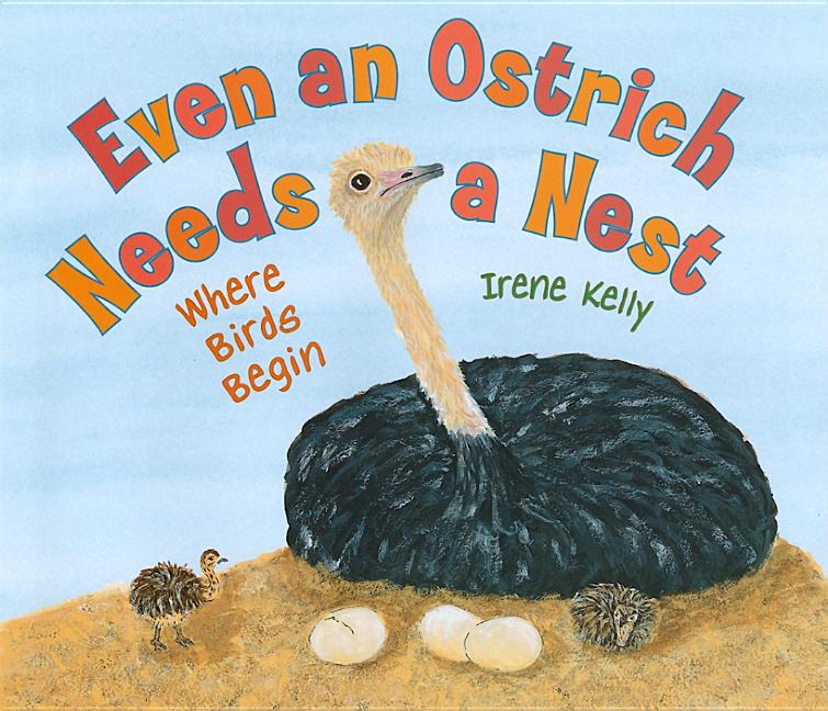 Even an Ostrich Needs a Nest: Where Birds Begin