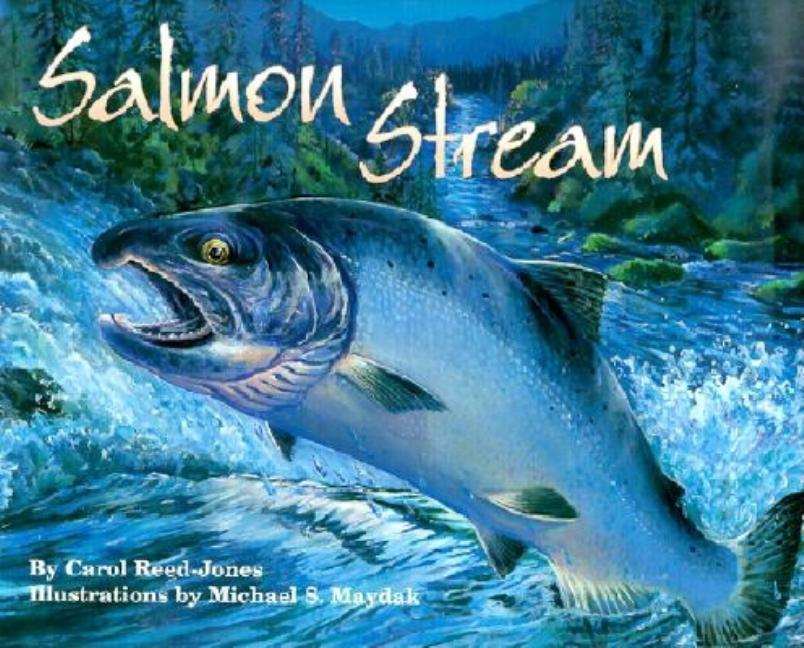 Salmon Stream