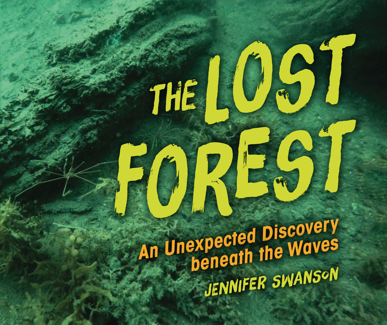 The Lost Forest: An Unexpected Discovery Beneath the Waves