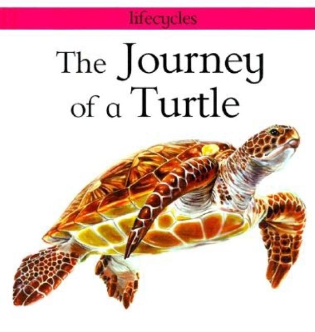 The Journey of a Turtle