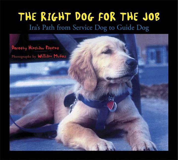 Right Dog for the Job: Ira's Path from Service Dog to Guide Dog