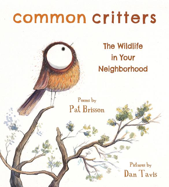 Common Critters: The Wildlife in Your Neighborhood