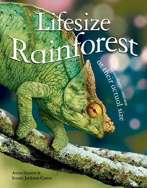 Rainforest: See Rainforest Creatures at Their Actual Size