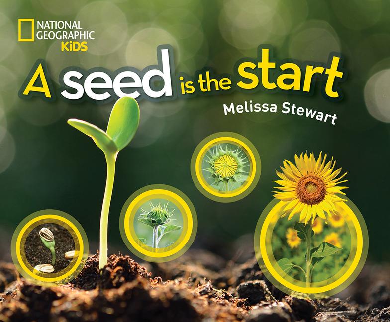 A Seed Is the Start
