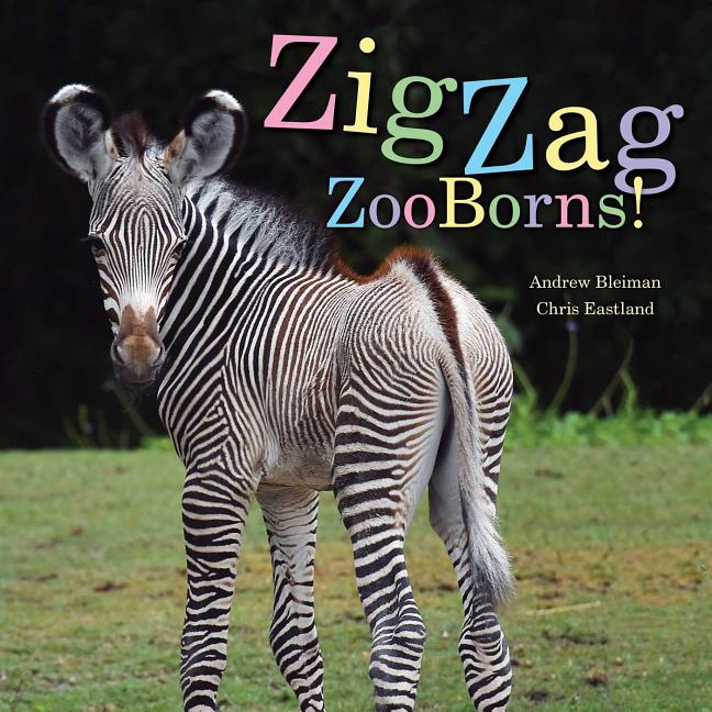 Zigzag Zooborns!: Zoo Baby Colors and Patterns