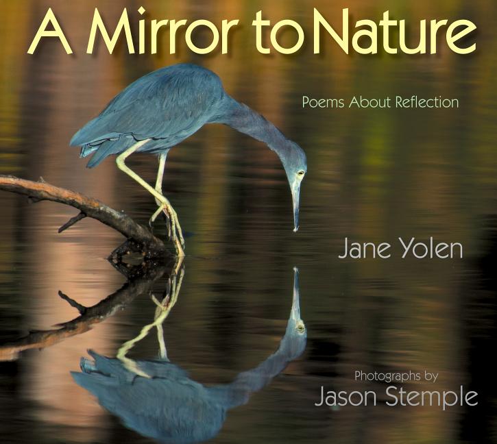 Mirror to Nature: Poems about Reflection