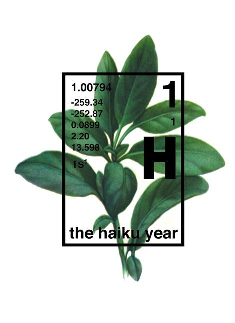 The Haiku Year