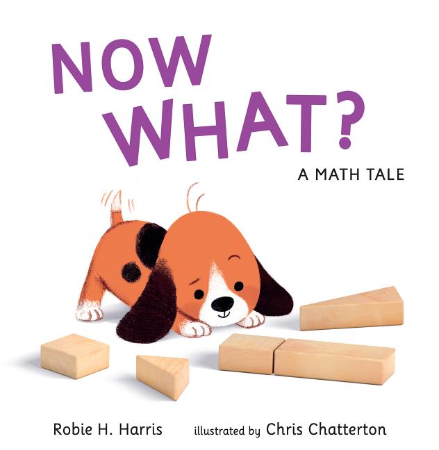 Now What?: A Math Tale