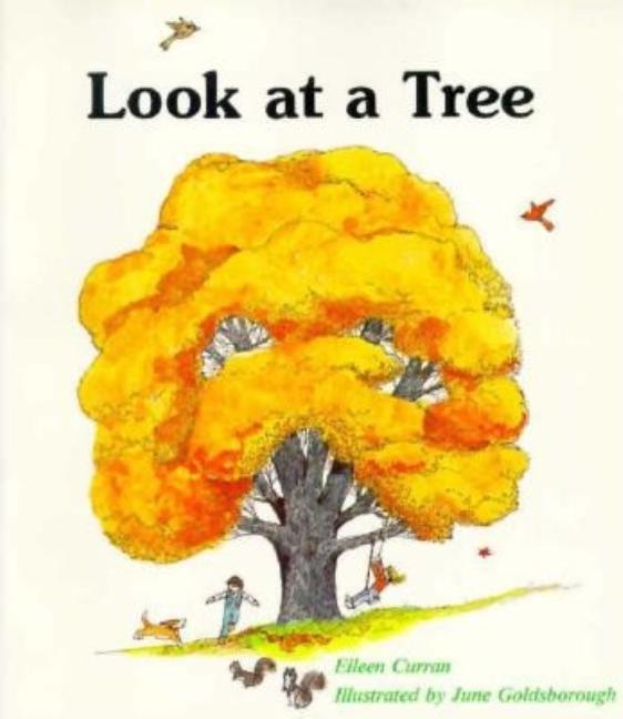 Look at a Tree