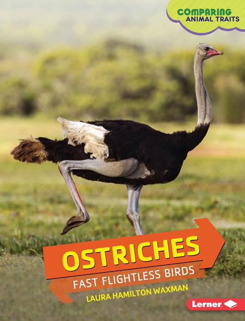 Ostriches: Fast Flightless Birds