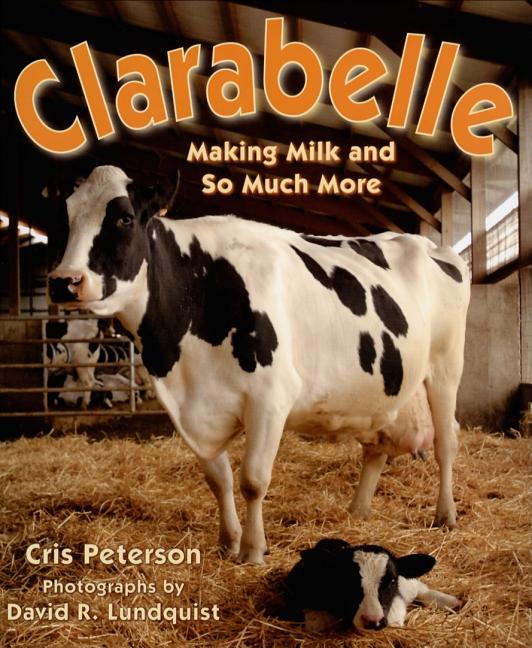 Clarabelle: Making Milk and So Much More