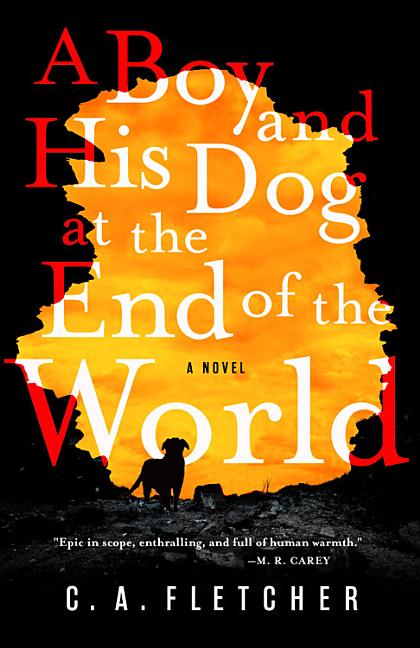 Boy and His Dog at the End of the World, A