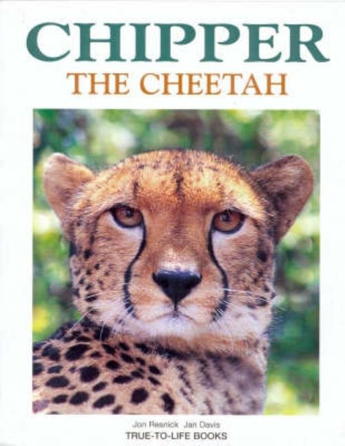 Chipper the Cheetah