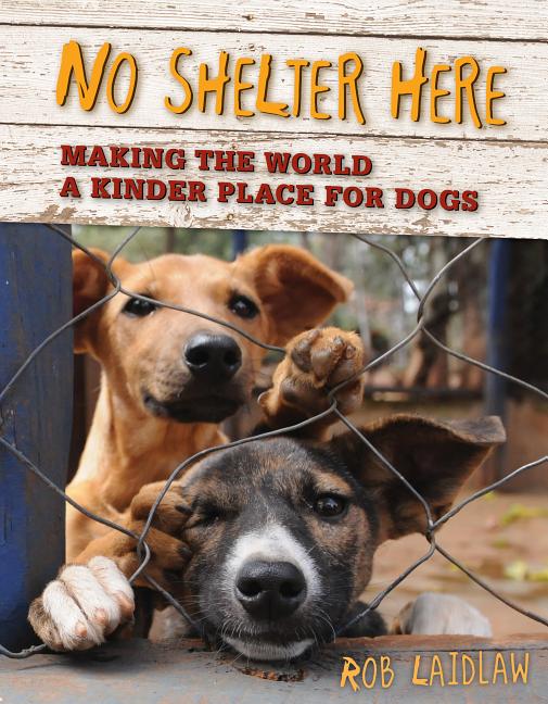 No Shelter Here: Making the World a Kinder Place for Dogs