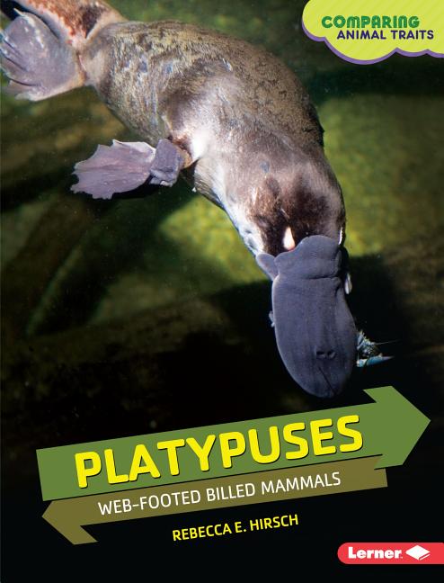 Platypuses: Web-Footed Billed Mammals