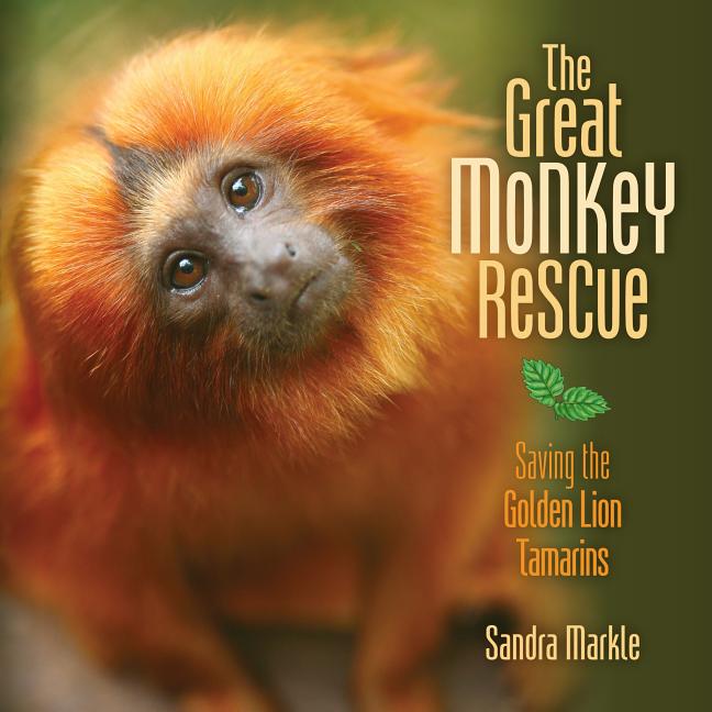 The Great Monkey Rescue: Saving the Golden Lion Tamarins