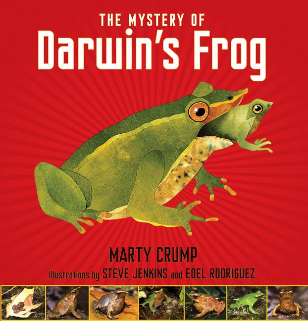 The Mystery of Darwin's Frog