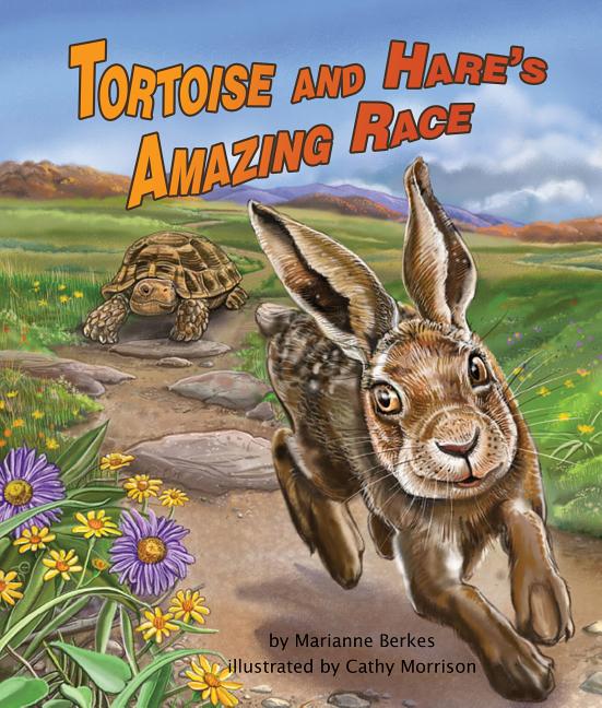 Tortoise and Hare's Amazing Race