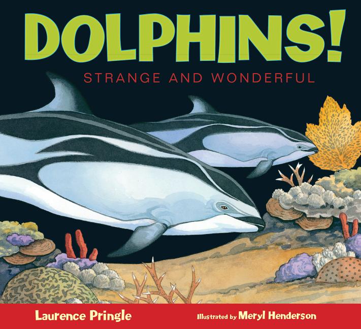 Dolphins!: Strange and Wonderful