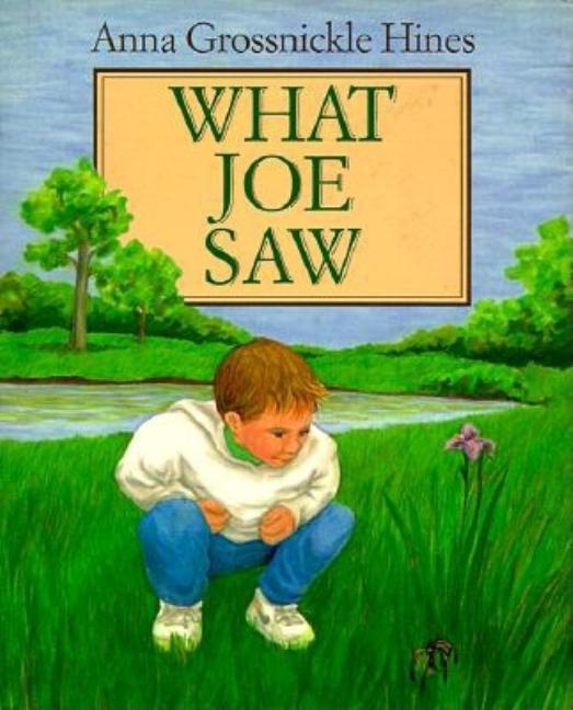What Joe Saw