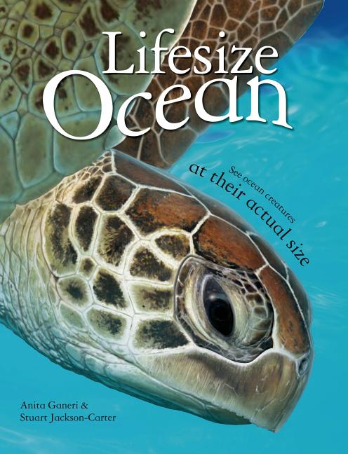 Lifesize Ocean
