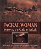 Jackal Woman: Exploring the World of Jackals