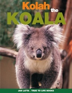 Kolah the Koala